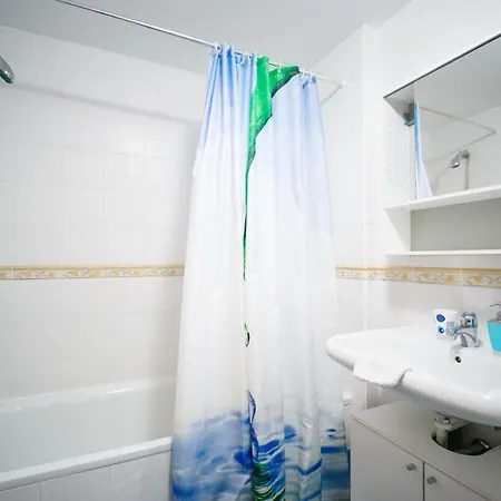 Paraiso Blue Dream *