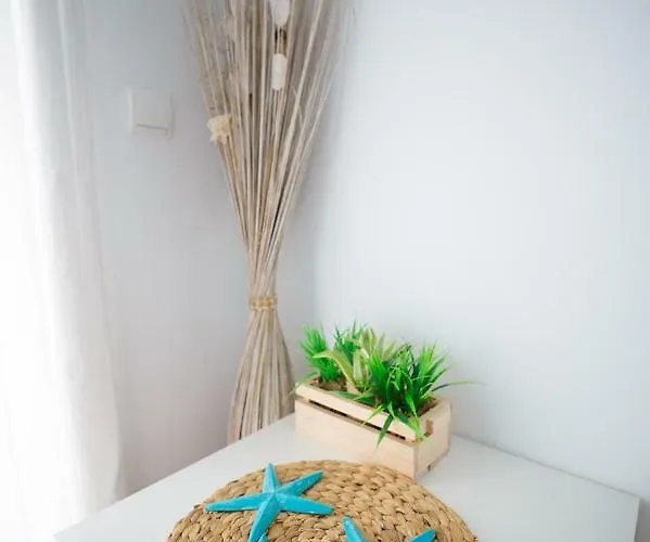 Paraiso Blue Dream *