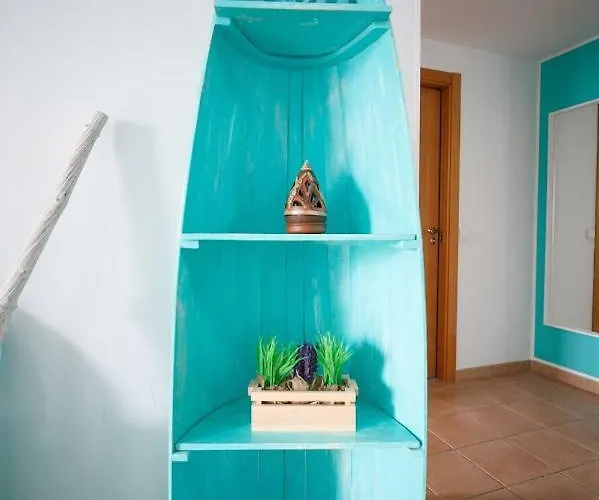 Paraiso Blue Dream *