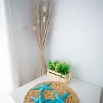 Paraiso Blue Dream *