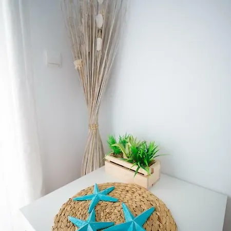 Paraiso Blue Dream *